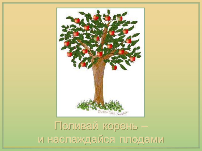 Поливай корень – и наслаждайся плодами Поливай корень – и наслаждайся плодами